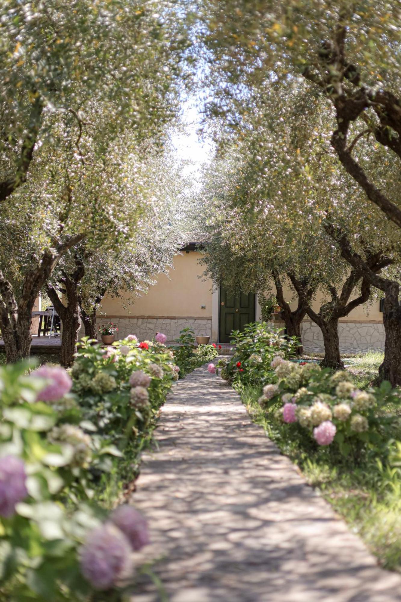 Agriturismo Il Pozzo Казаль-Веліно Екстер'єр фото